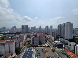 Uptown @ Farrer (D8), Apartment #612019861